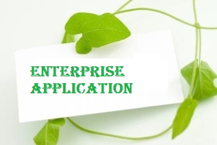 enterprise application