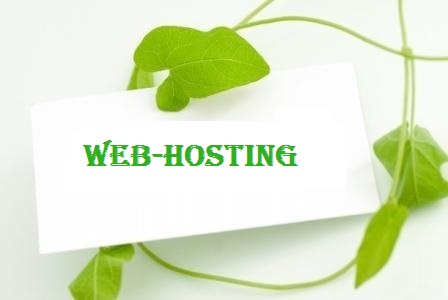 web hosting services