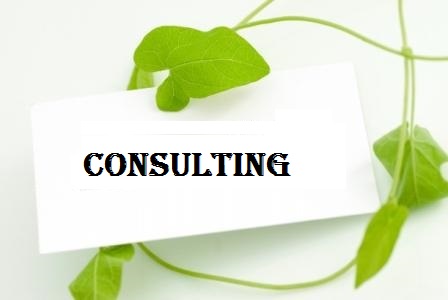  consulting service