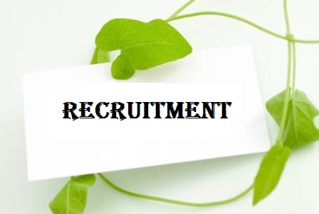 Recruitment consultant